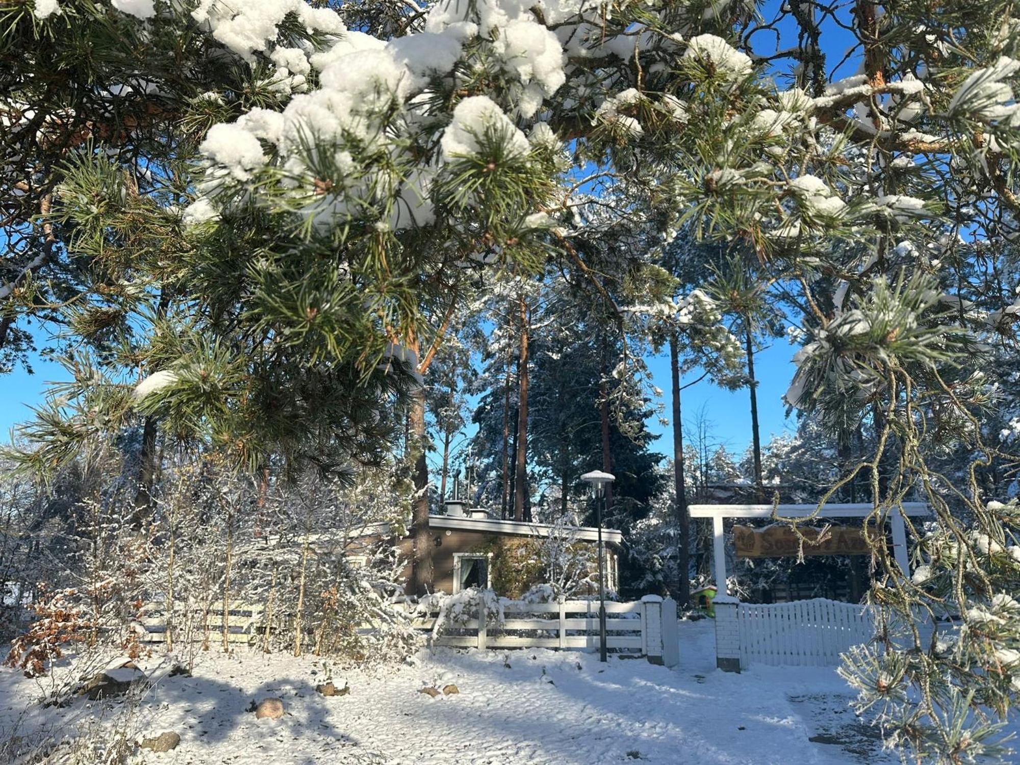 바길코비체 Sosnowy Azyl 빌라 외부 사진